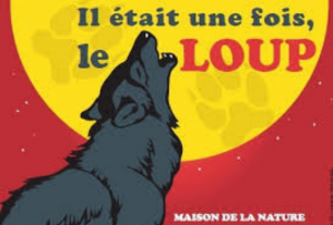 Il était une fois le loup MDN 2014