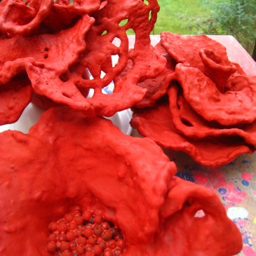 Dentelles florales rouges